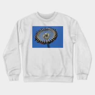 Maelstrom Madness Crewneck Sweatshirt